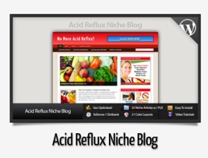 Acid Reflux Niche Blog